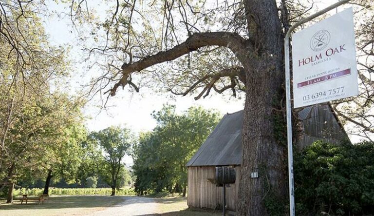 The beautiful Holm Oak Winery.