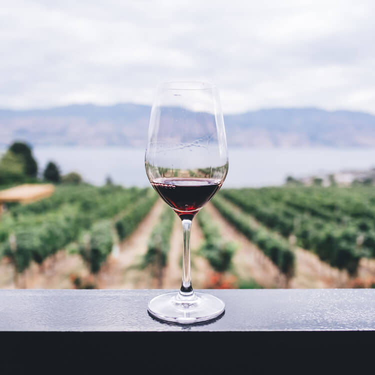 Drink some wine in Tasmania's Tamar Valley