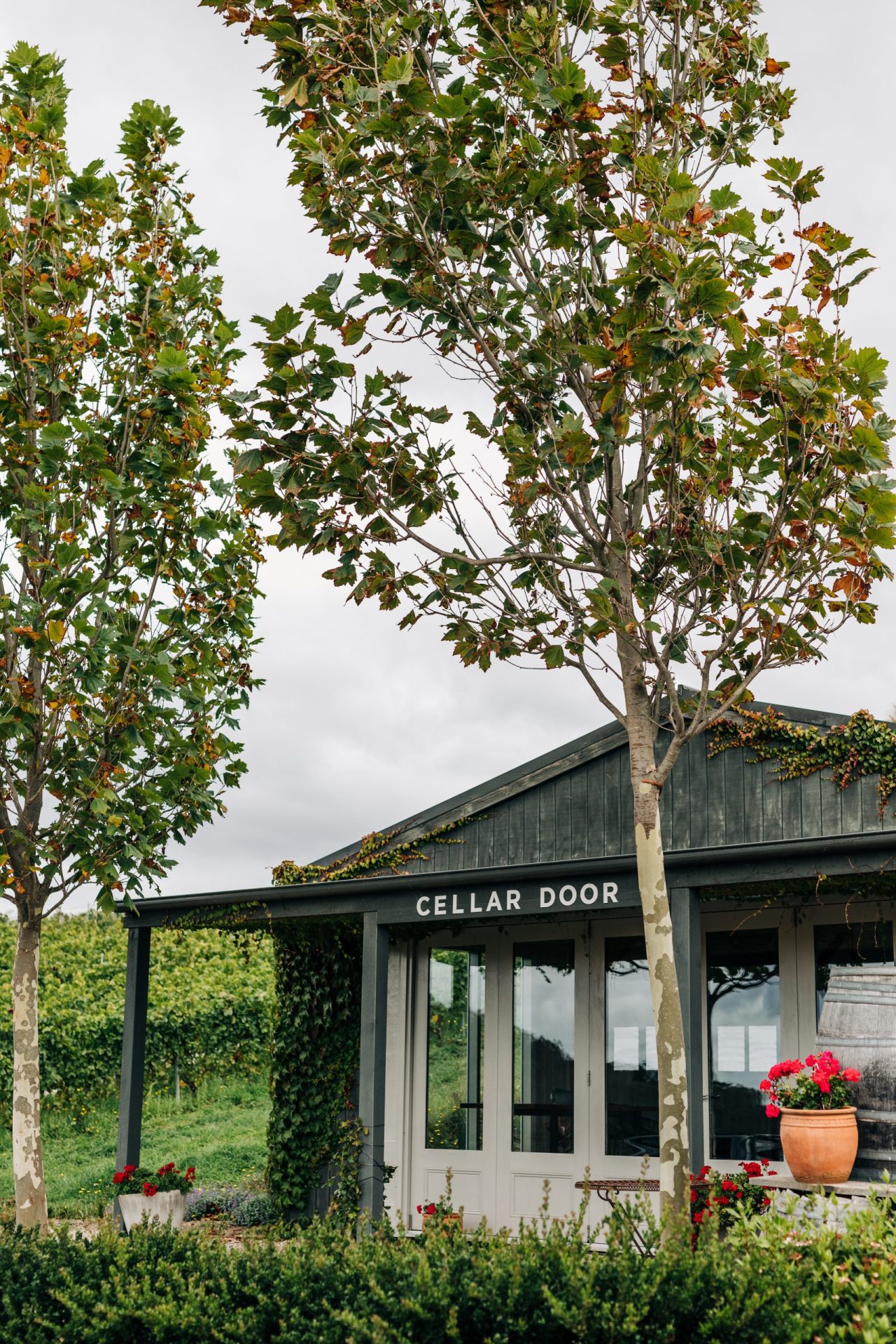 Sinapius cellar door framed by trees and flowers at Pipers Brook