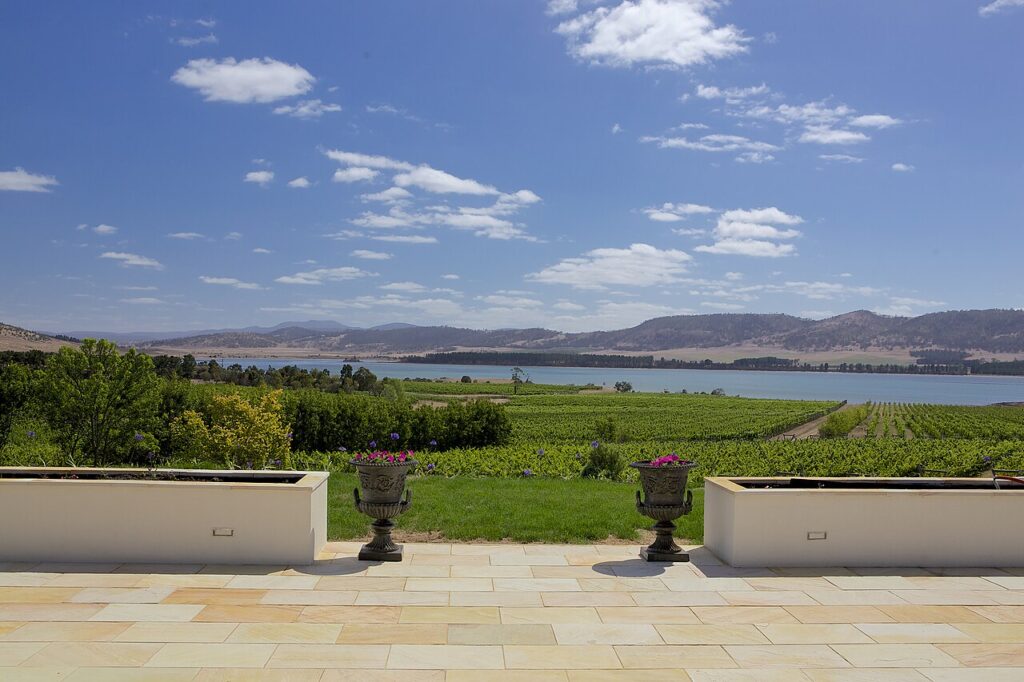 Vineyard and water views from Riversdale Estate in the Coal River Valley.